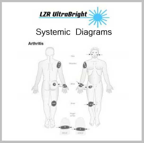 Spine and Pelvis Diagrams 4 SYSTEMIC DIAGRAMS